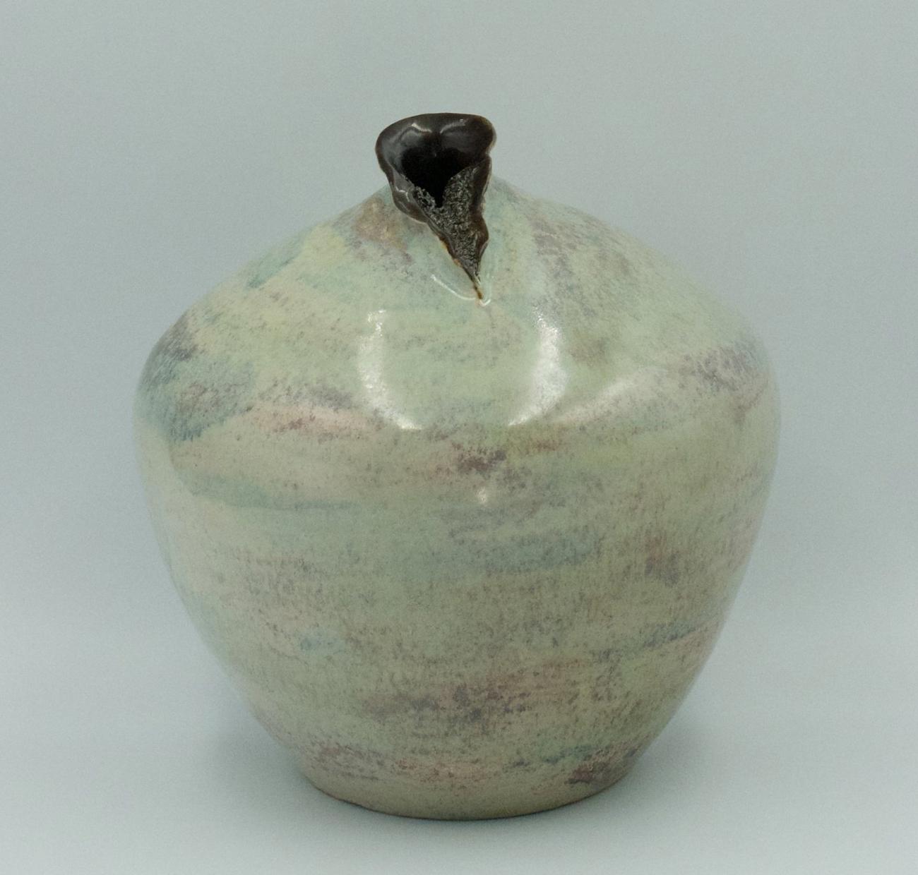 Vaginavaas Duidelijk